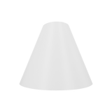 Light Cone